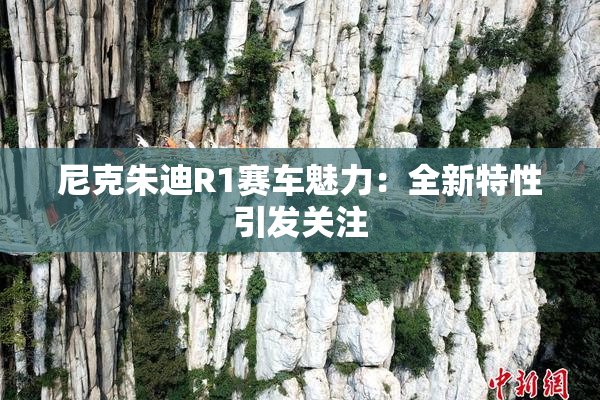 尼克朱迪R1赛车魅力：全新特性引发关注