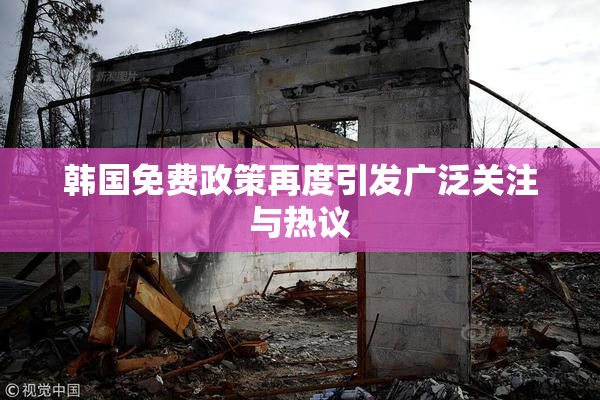 韩国免费政策再度引发广泛关注与热议