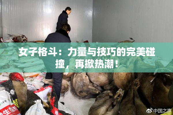 女子格斗：力量与技巧的完美碰撞，再掀热潮！