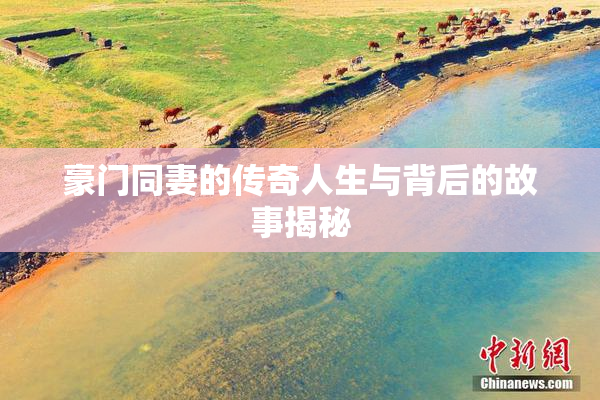 豪门同妻的传奇人生与背后的故事揭秘