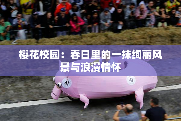 樱花校园：春日里的一抹绚丽风景与浪漫情怀