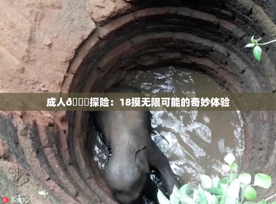 成人🍆探险：18摸无限可能的奇妙体验