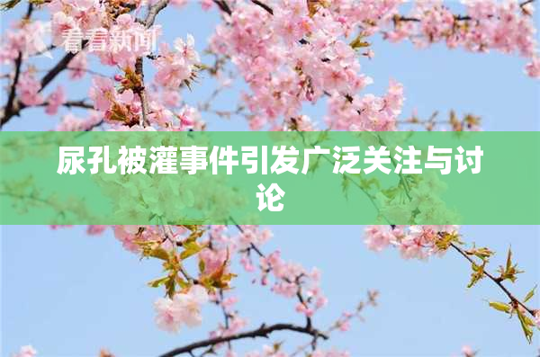 尿孔被灌事件引发广泛关注与讨论