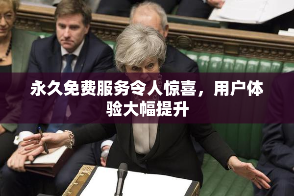 永久免费服务令人惊喜，用户体验大幅提升