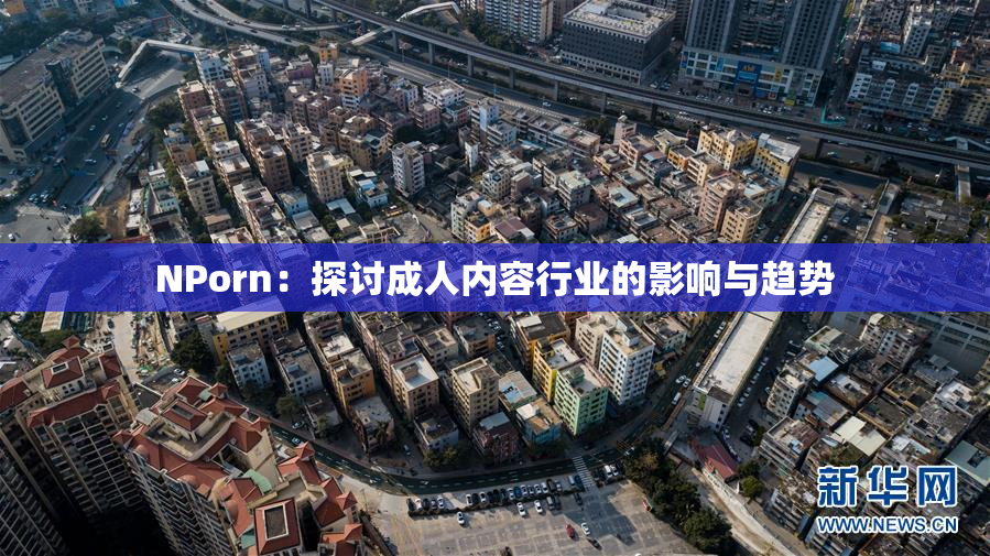 ΝPorn：探讨成人内容行业的影响与趋势
