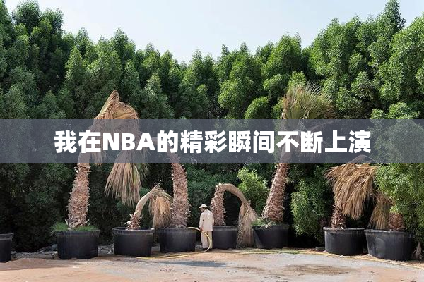 我在NBA的精彩瞬间不断上演
