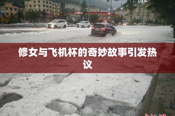 修女与飞机杯的奇妙故事引发热议
