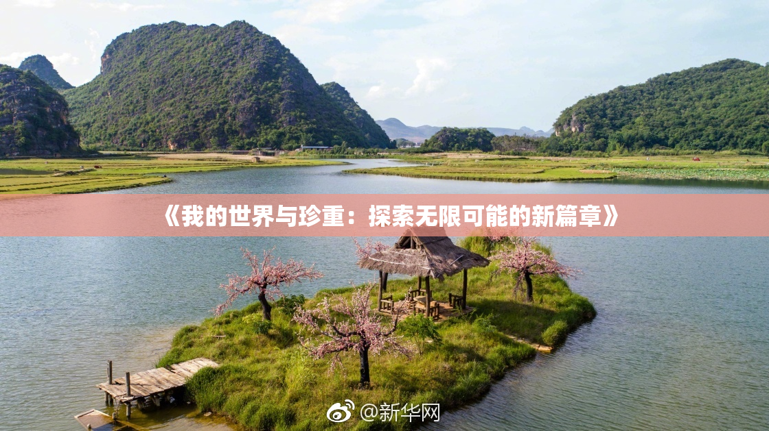 《我的世界与珍重：探索无限可能的新篇章》