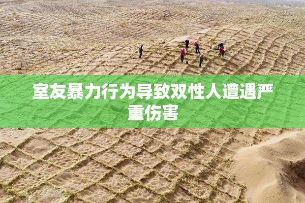 室友暴力行为导致双性人遭遇严重伤害