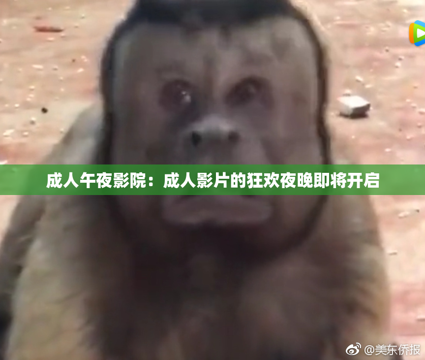 成人午夜影院：成人影片的狂欢夜晚即将开启