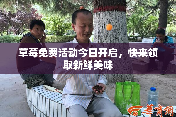 草莓免费活动今日开启，快来领取新鲜美味