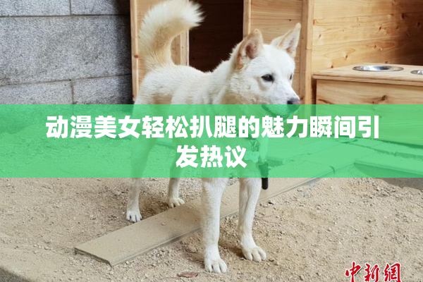 动漫美女轻松扒腿的魅力瞬间引发热议