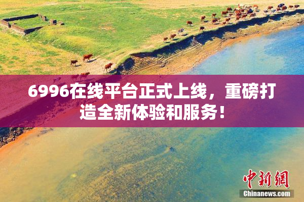 6996在线平台正式上线，重磅打造全新体验和服务！
