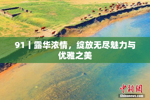 91丨露华浓情，绽放无尽魅力与优雅之美