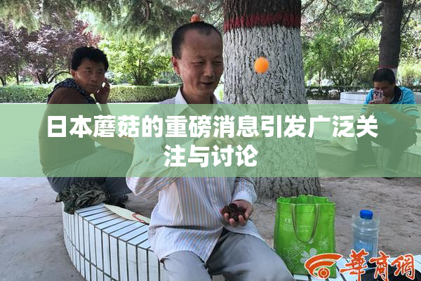 日本蘑菇的重磅消息引发广泛关注与讨论
