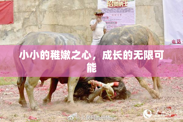 小小的稚嫩之心，成长的无限可能