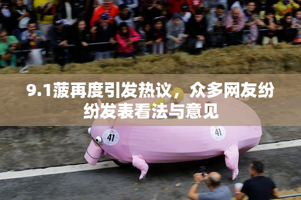 9.1菠再度引发热议，众多网友纷纷发表看法与意见
