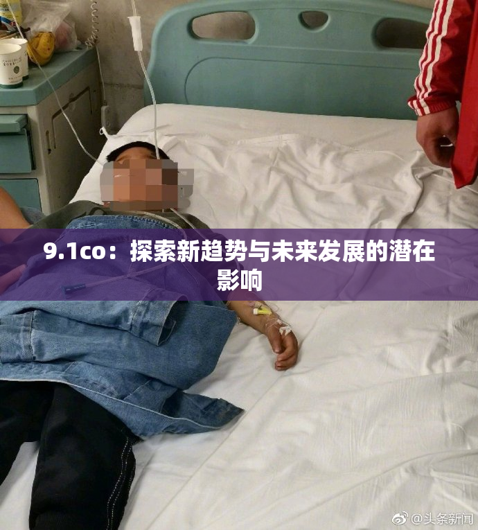 9.1co：探索新趋势与未来发展的潜在影响