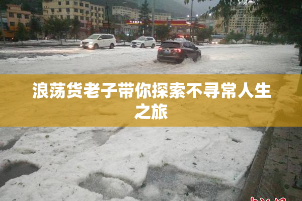浪荡货老子带你探索不寻常人生之旅