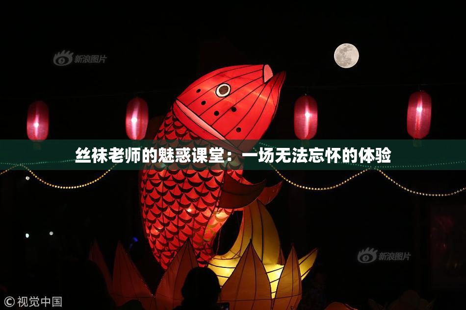 丝袜老师的魅惑课堂：一场无法忘怀的体验