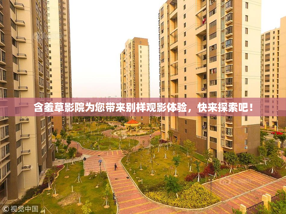 含羞草影院为您带来别样观影体验，快来探索吧！