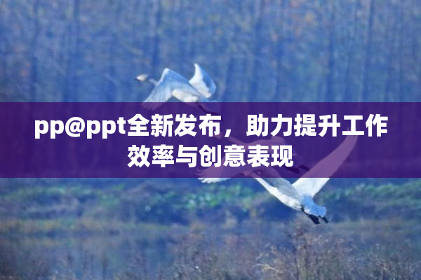 pp@ppt全新发布，助力提升工作效率与创意表现