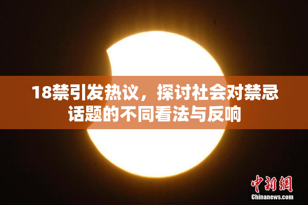 18禁引发热议，探讨社会对禁忌话题的不同看法与反响
