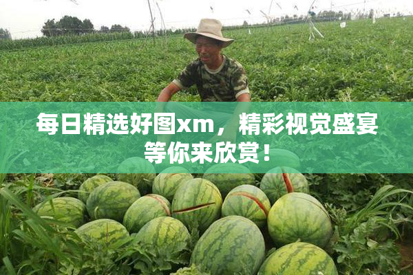 每日精选好图xm，精彩视觉盛宴等你来欣赏！