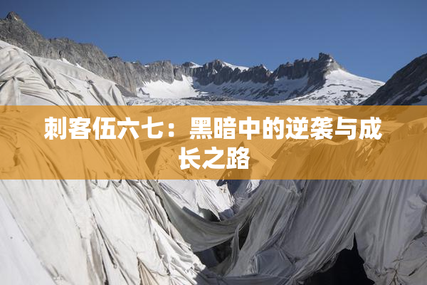 刺客伍六七：黑暗中的逆袭与成长之路