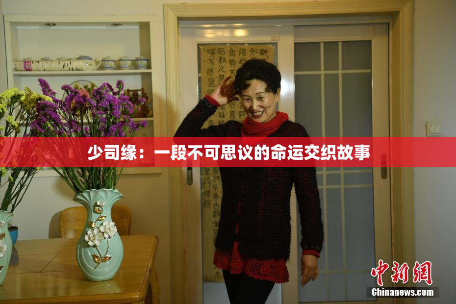 少司缘：一段不可思议的命运交织故事
