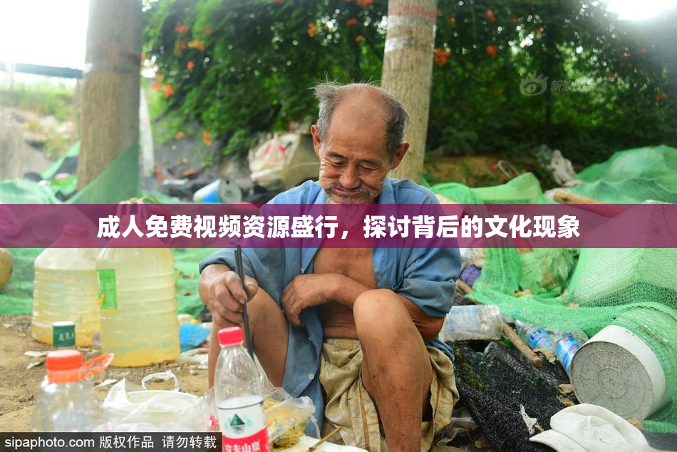 成人免费视频资源盛行，探讨背后的文化现象