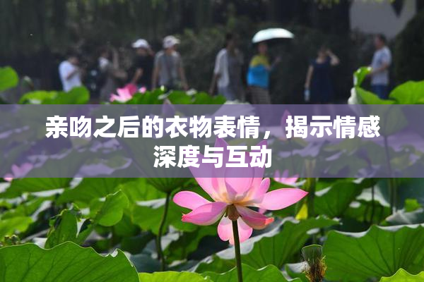 亲吻之后的衣物表情，揭示情感深度与互动