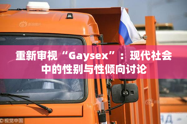 重新审视“Gaysex”：现代社会中的性别与性倾向讨论