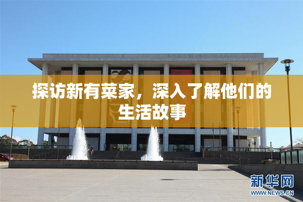 探访新有菜家，深入了解他们的生活故事