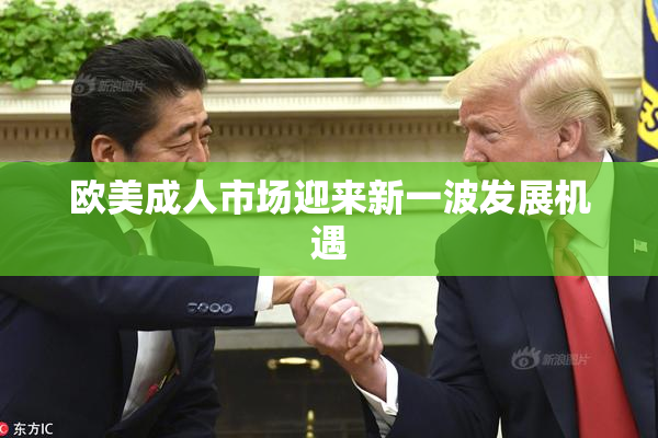 欧美成人市场迎来新一波发展机遇