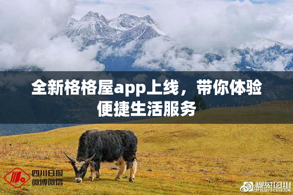 全新格格屋app上线，带你体验便捷生活服务