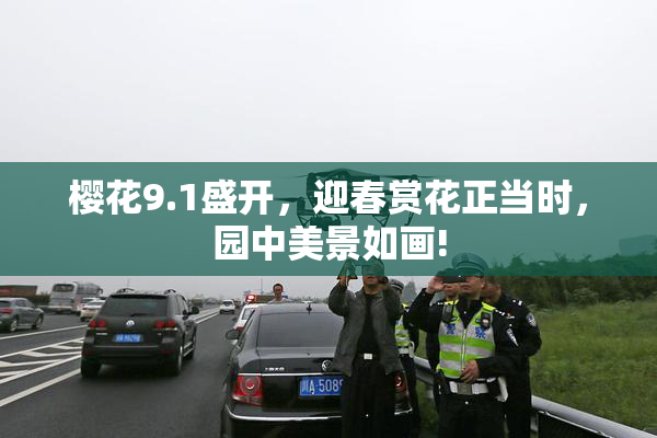 樱花9.1盛开，迎春赏花正当时，园中美景如画!