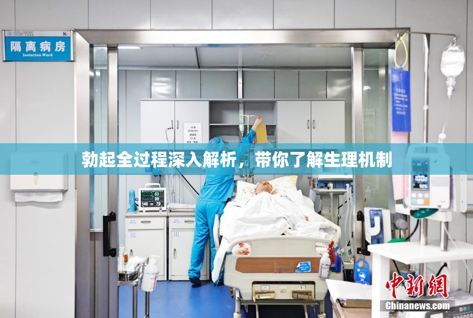 勃起全过程深入解析，带你了解生理机制