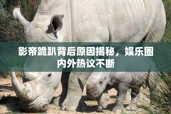 影帝跪趴背后原因揭秘，娱乐圈内外热议不断