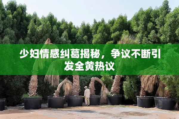 少妇情感纠葛揭秘，争议不断引发全黄热议