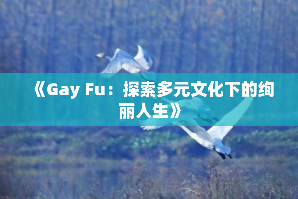 《Gay Fu：探索多元文化下的绚丽人生》