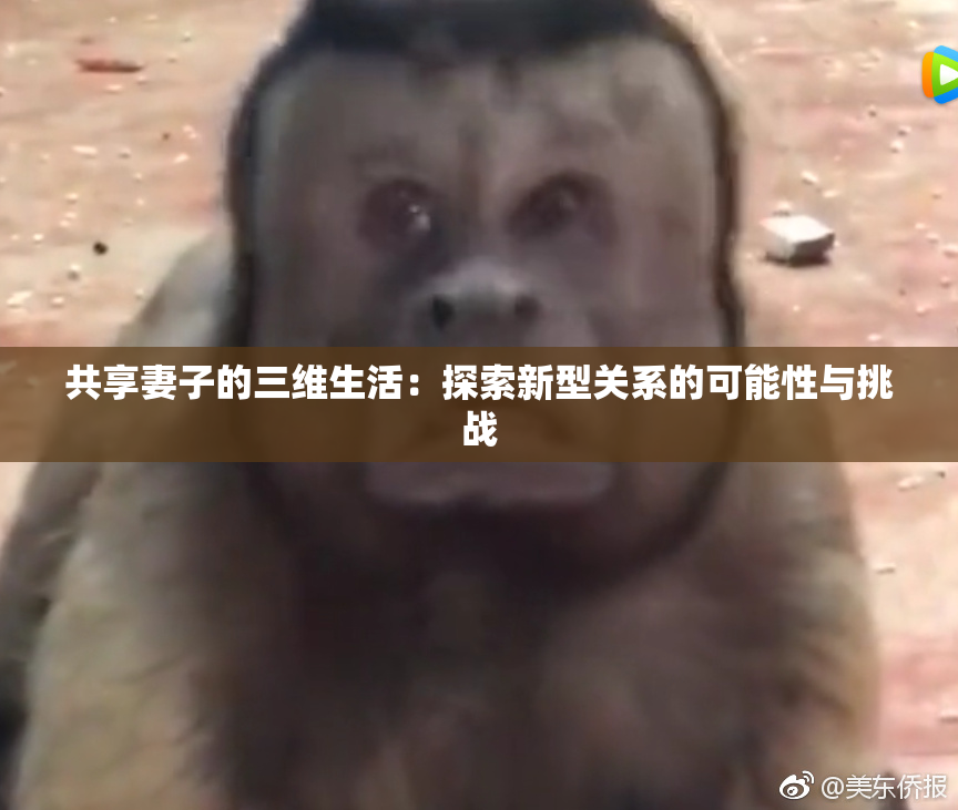 共享妻子的三维生活：探索新型关系的可能性与挑战