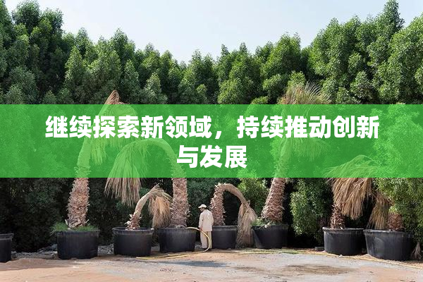 继续探索新领域，持续推动创新与发展