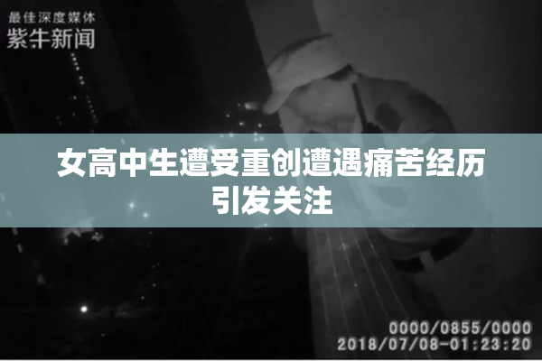 女高中生遭受重创遭遇痛苦经历引发关注
