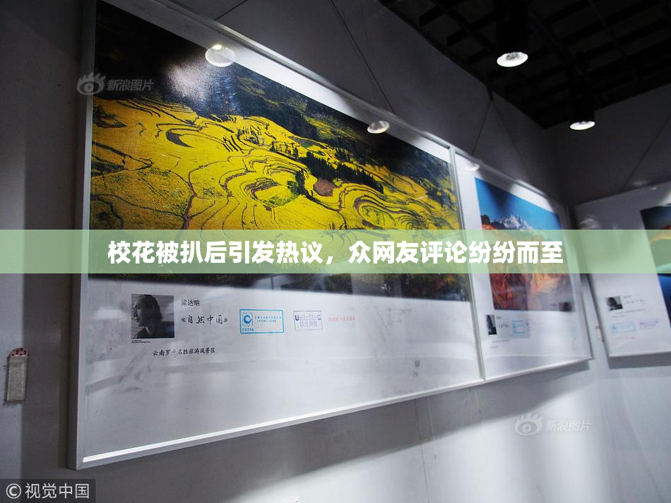校花被扒后引发热议，众网友评论纷纷而至