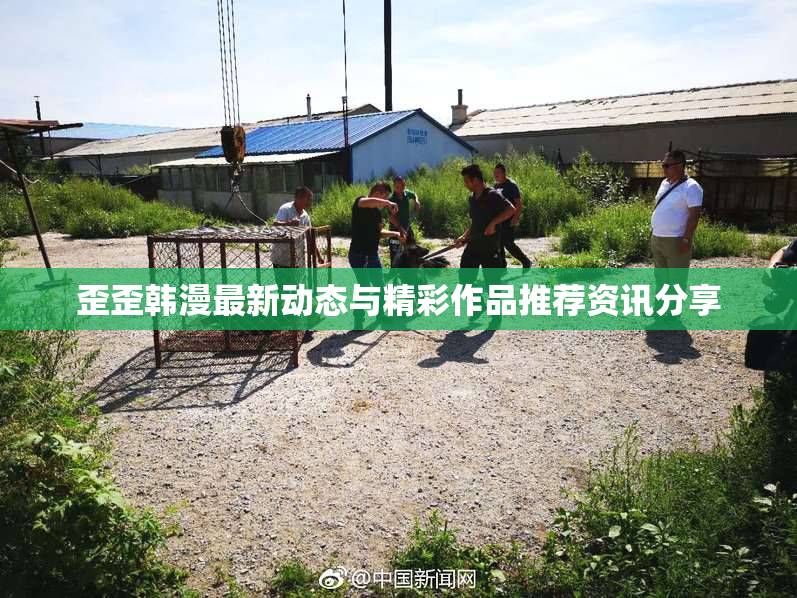 歪歪韩漫最新动态与精彩作品推荐资讯分享