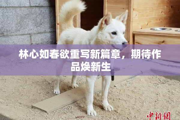 林心如春欲重写新篇章，期待作品焕新生