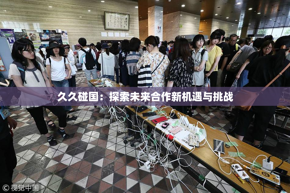 久久碰国：探索未来合作新机遇与挑战