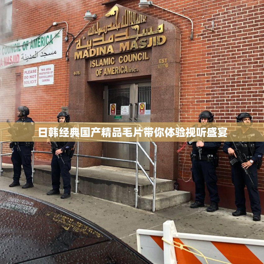 日韩经典国产精品毛片带你体验视听盛宴