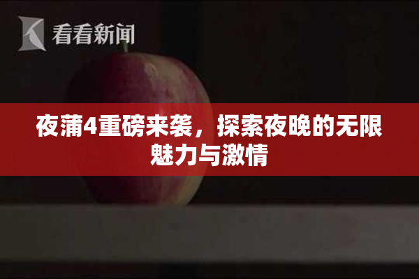 夜蒲4重磅来袭，探索夜晚的无限魅力与激情